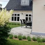 Latterly * Voel