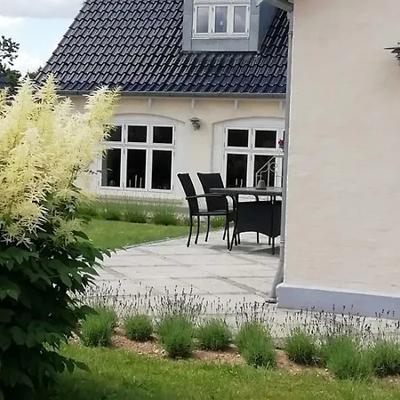 Latterly * Voel